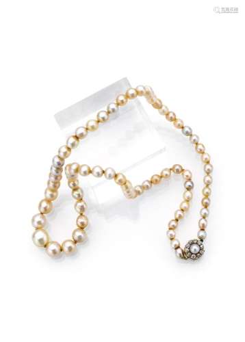 BEAUTIFUL NATURAL PEARL NECKLACE