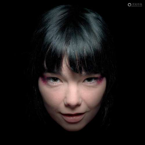 Gavin Evans: The Björk Godpixel