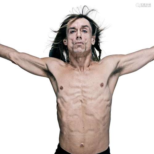 Gavin Evans: The Iggy Pop Godpixel