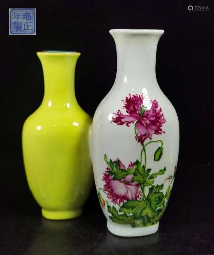 A pair of QING dynasty Enamel vase with siamesed body