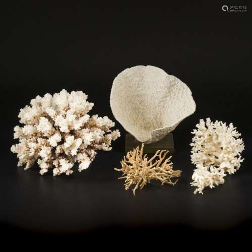 A lot comprising of (3) various pieces of coral a.w. a mushr...