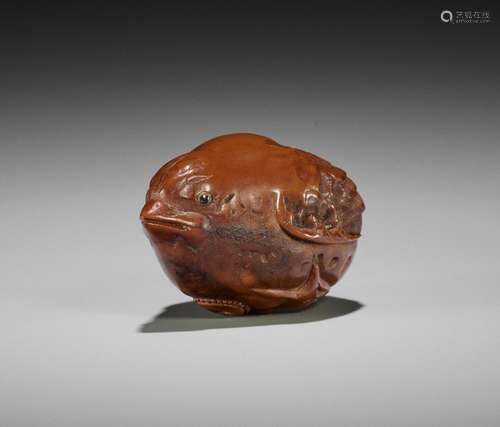 HIDARI ISSAN: A KURUMI (WALNUT) NETSUKE OF A FLEDGLING QUAIL