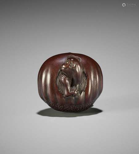 A WOOD NETSUKE OF A MONKEY EMERGING FROM A CHESTNUT