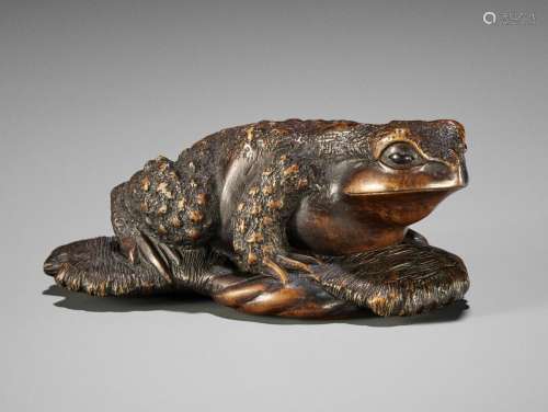 MASANAO: A LARGE NETSUKE-OKIMONO OF A TOAD ON SANDAL