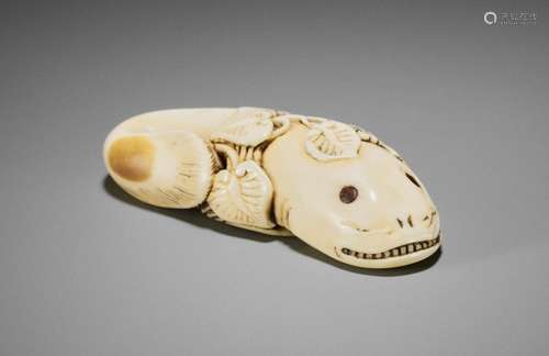 AN UNUSUAL AND EARLY IVORY NETSUKE OF A NAMAZU