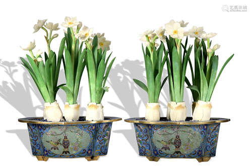 A pair of Cloisonne enamel flowerpot