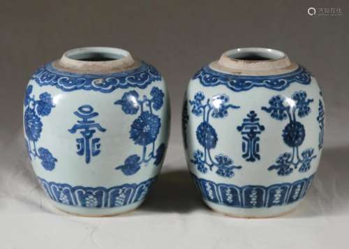 Pair of Chinese Blue & White Ovoid Vessels, 19th C.