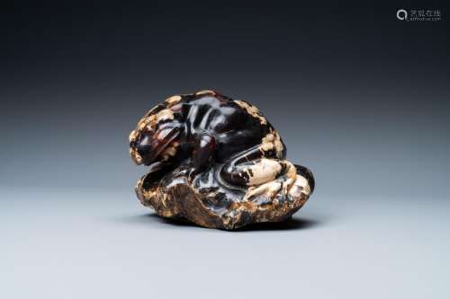 Lot 872: A CHINESE CARVED AMBER MODEL OF A TOAD, 19/20TH C.
