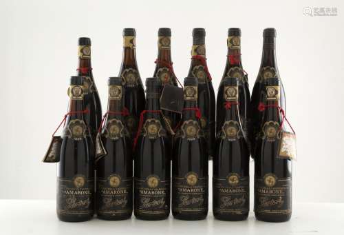 Amarone Recioto Valpolicella Sartori (12 bts)