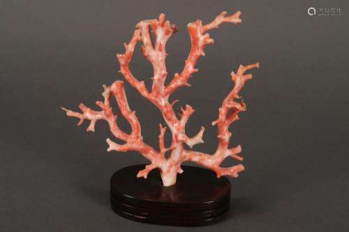 Good Chinese Coral Branch,
