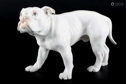 Bing & Gröndahl / Dahl Jensen Bulldogge, bulldog,