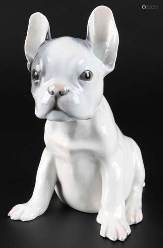 Rosenthal französische Bulldogge, french bulldog,