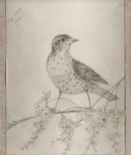 Tony Clark, Australian b.1954- Untitled (bird), 1975; pencil...