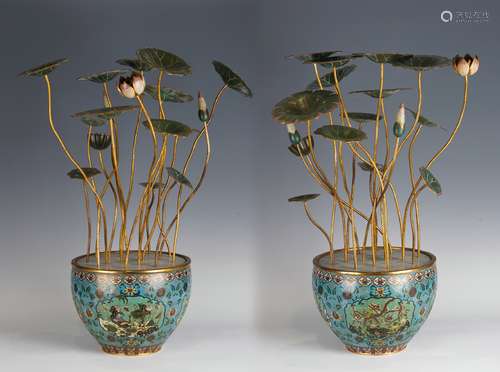 Pair Cloisonne Enameled Lotus Pot with Flower and Bird Patte...