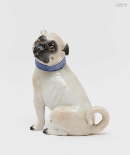 A pug - Meissen, after the model by J. J. Kaendler