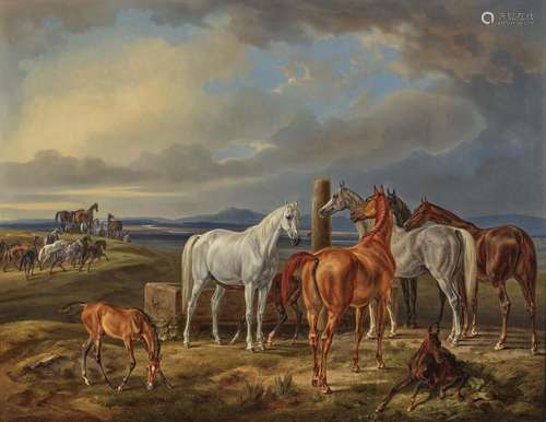 Albrecht Adam (1786 Nördlingen - 1862 Munich) - Arab mares w...