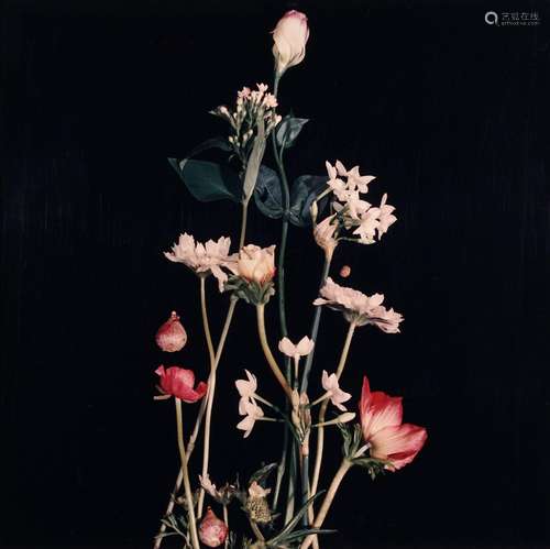 Katherine Doyle "Mixed Florals 1" / "Mixed Fl...