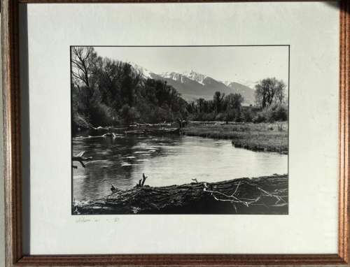 ORIGINAL PHOTO OF LANDSCAPE SIGNED BY NELSON S