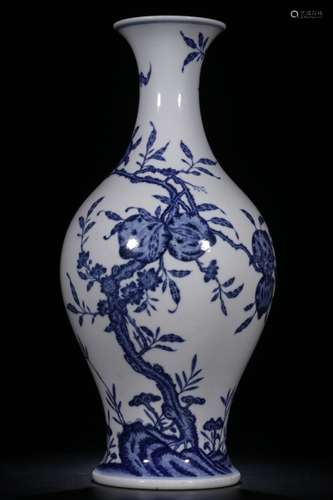 Chinese Blue and White Porcelain Vase,Mark