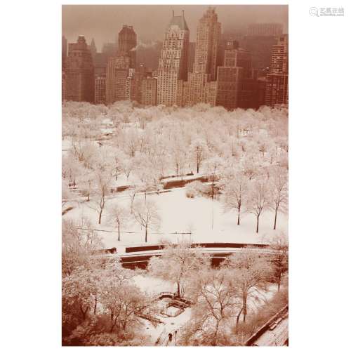 Ruth Orkin (American, 1921-1985), White Trees, Central Park ...