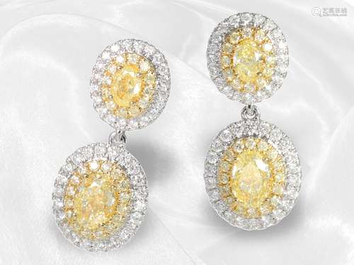 Earrings: attractive earrings with 'Fancy Yellow' ...