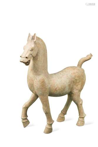 A Pottery horse, Han Dynasty (206BC - 220AD),