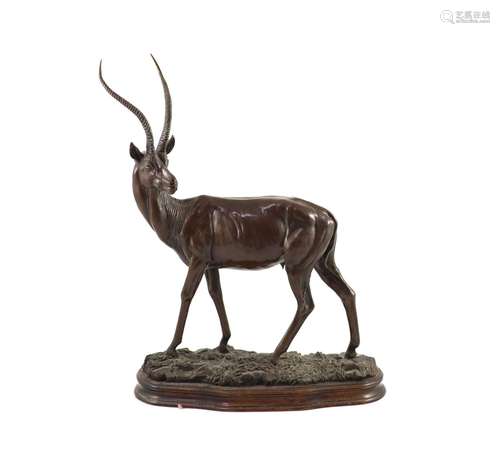 Tim Nicklin. A bronze model of a Grants gazelle length 33cm ...