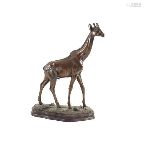 Tim Nicklin. A bronze model of a giraffe, width 30cm height ...