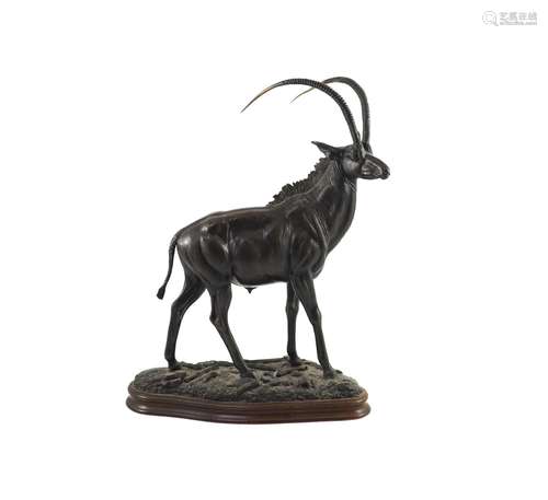 Tim Nicklin. A bronze model of a Sable antelope width 33cm h...