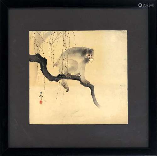 Estampe de Ohara KOSON (1877-1945). Macaque sur un…