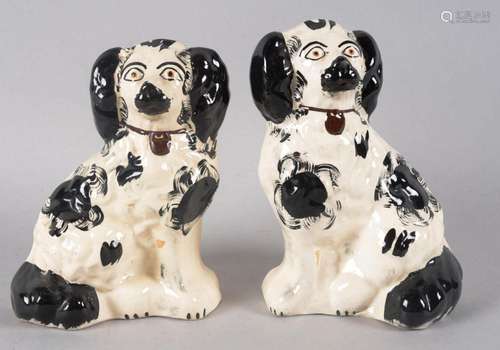 Staffordshire.Paire de Chiens