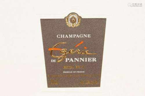 PANNIER EGIERE BRUT