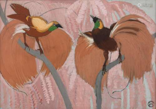 Erich Hermès (1881-1971) - Oiseaux du paradis, gouache sur p...