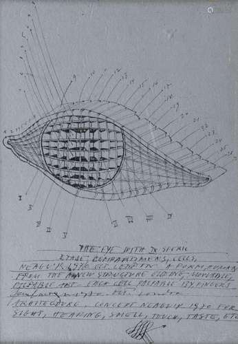 Paul Neagu (1938-2004) - The eye with IX sferic, encre sur p...