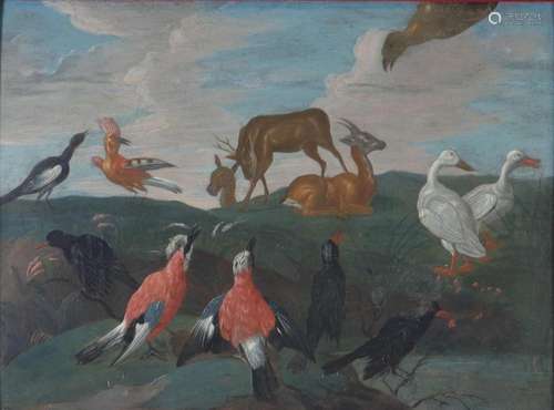 Followers of Jan III VAN KESSEL oil on panel "birds and