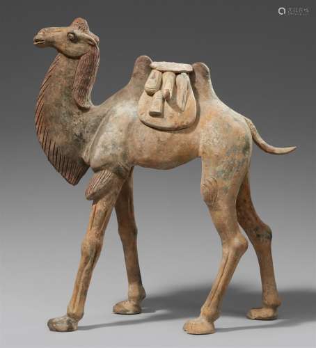 A pottery model of a caparisoned camel. Tang dynasty (618–90...