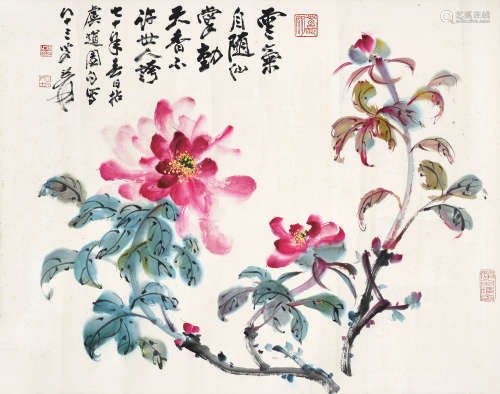 张大千（1899～1983） 花卉 镜心 设色纸本