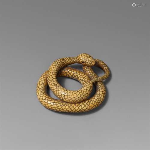 An ivory netsuke of a snake. 19th century