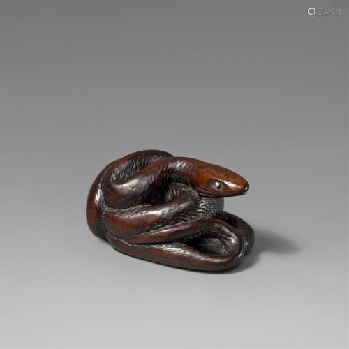 A very large wood netsuke of a snake. 19th century