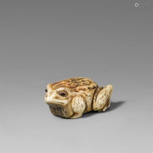 A bone netsuke of a toad. 19th century