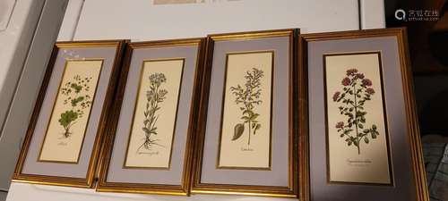 Four botanical prints, framed. Ea. Apx. 12” high