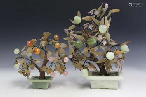 Two Chinese Jade Trees