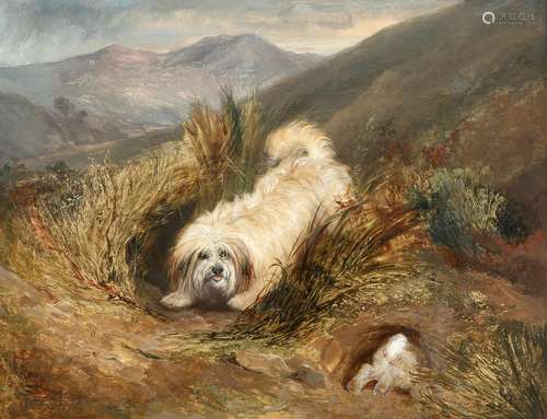 CIRCLE OF GEORGE ARMFIELD (1808-1893), TERRIER PURSUING A RA...