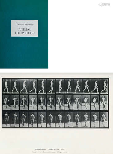 埃德沃德·迈布里奇 1969 埃德沃德·迈布里奇 动物运动（100张） 摄影...