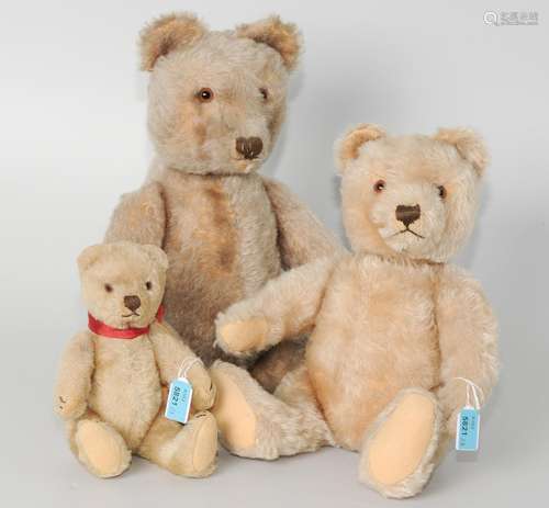 3(STEIFF-)TEDDYBÄREN