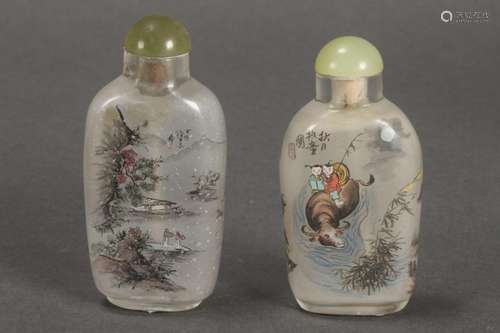 Two Chinese Inside Painted Snuff Bottles and