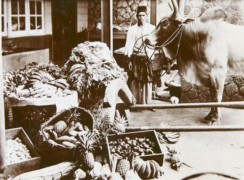 Schoolalbum. Ter Herinnering aan de Schooljaren op de Plante...