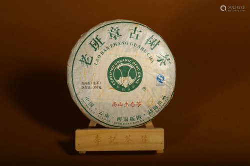 2009-老班章古茶树