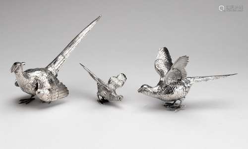 A pair of German silver pheasants and a smaller pheasant