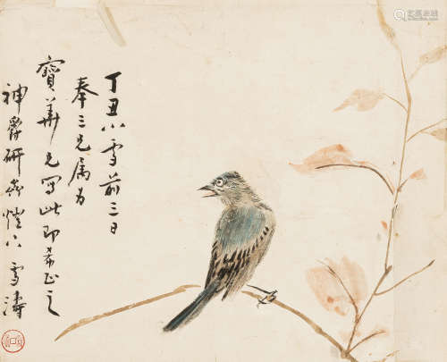 王雪涛（1903～1982）   寒雀图 设色纸本  镜心